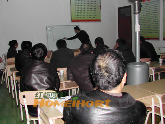 DSCN6806.jpg